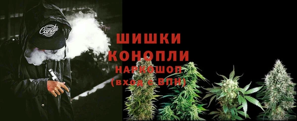 прущие крисы Струнино